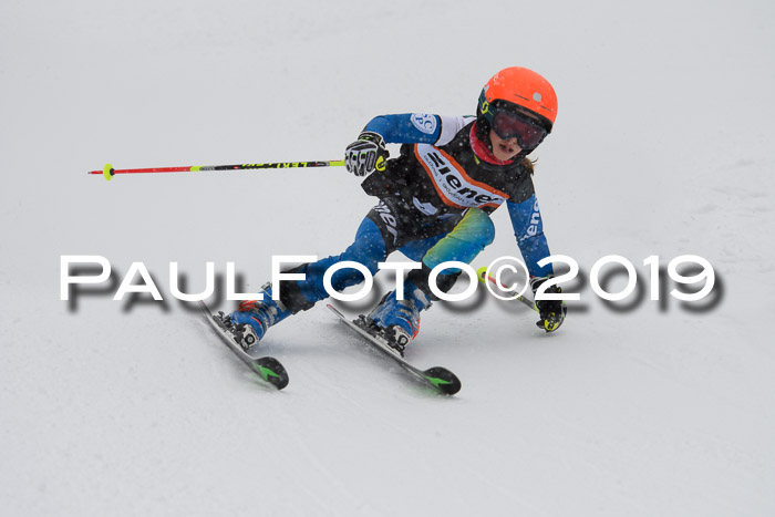 1. Ziener Cup SGW 2019