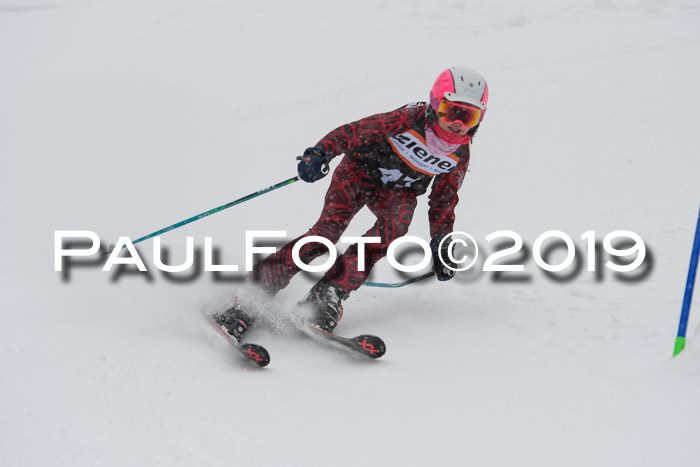 1. Ziener Cup SGW 2019