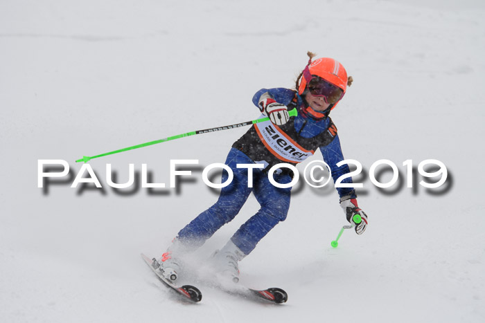 1. Ziener Cup SGW 2019