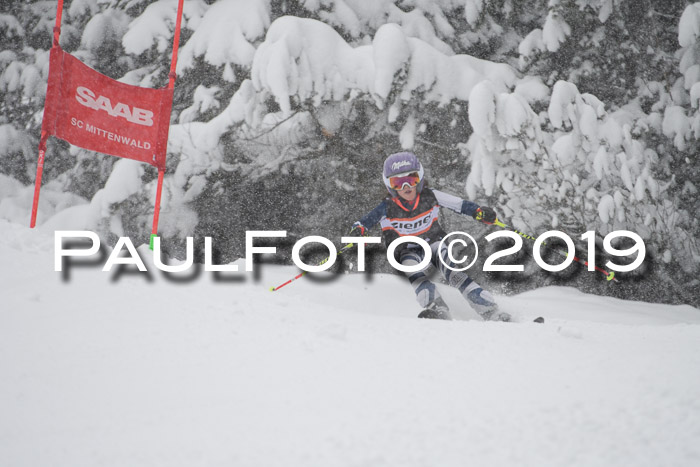 1. Ziener Cup SGW 2019