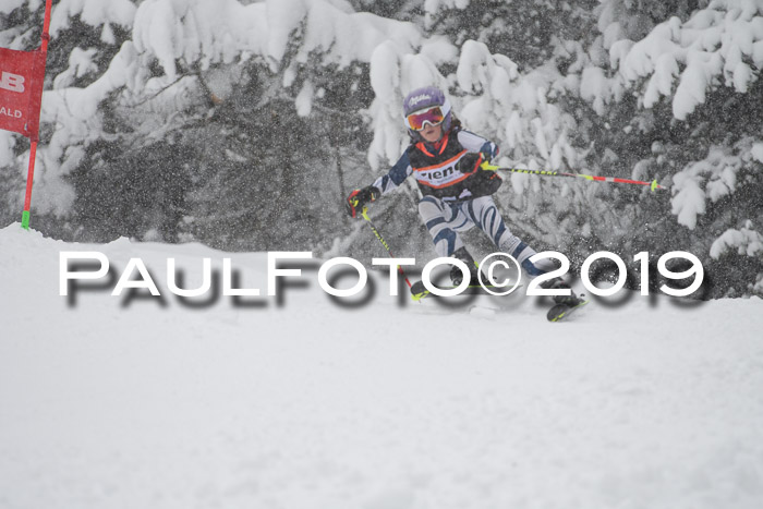 1. Ziener Cup SGW 2019