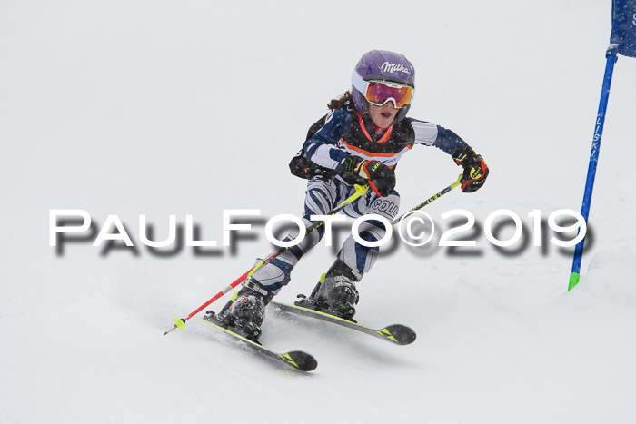 1. Ziener Cup SGW 2019
