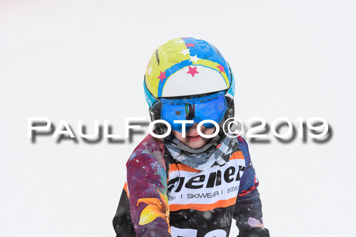 1. Ziener Cup SGW 2019