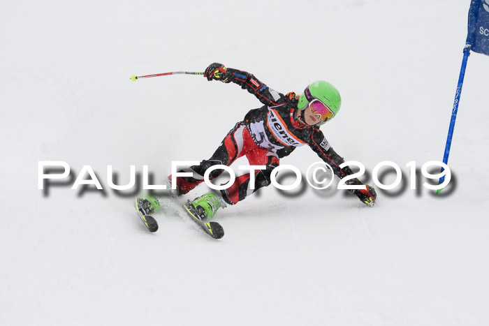 1. Ziener Cup SGW 2019
