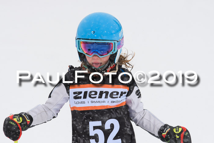 1. Ziener Cup SGW 2019