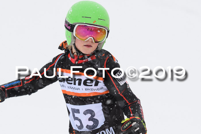 1. Ziener Cup SGW 2019