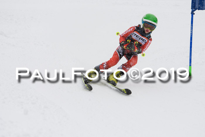 1. Ziener Cup SGW 2019