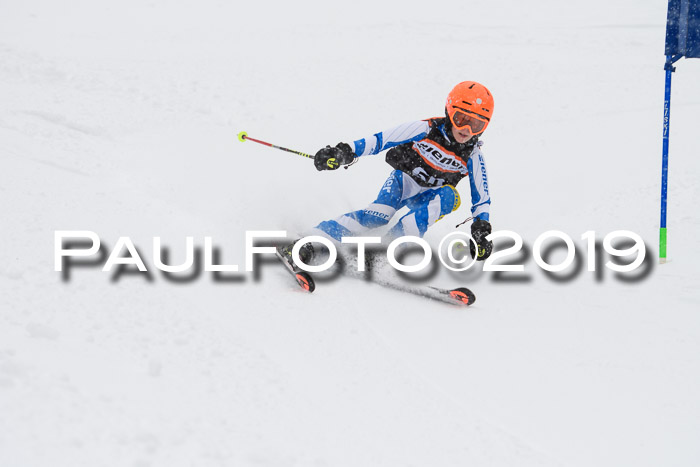 1. Ziener Cup SGW 2019