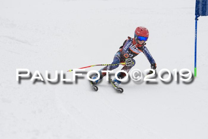1. Ziener Cup SGW 2019