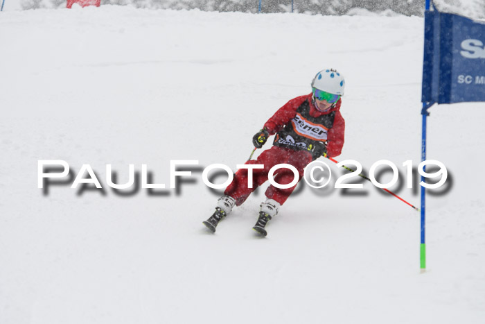 1. Ziener Cup SGW 2019