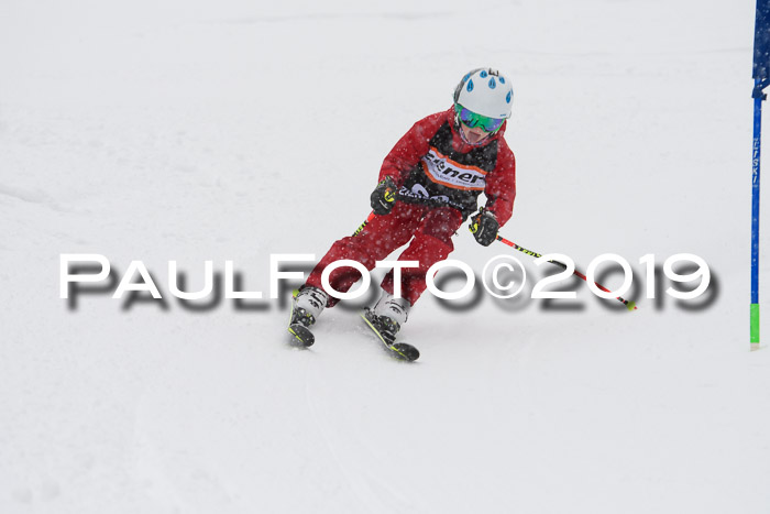 1. Ziener Cup SGW 2019