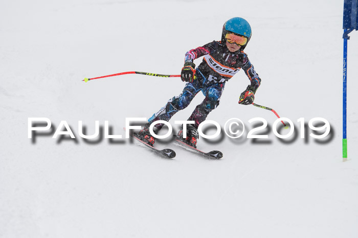 1. Ziener Cup SGW 2019