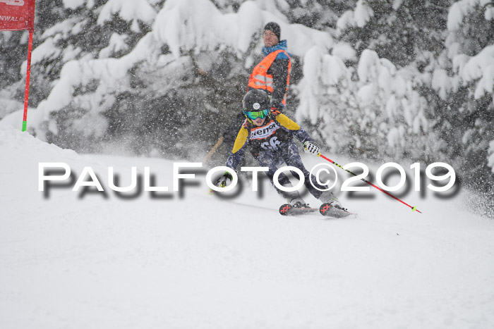 1. Ziener Cup SGW 2019