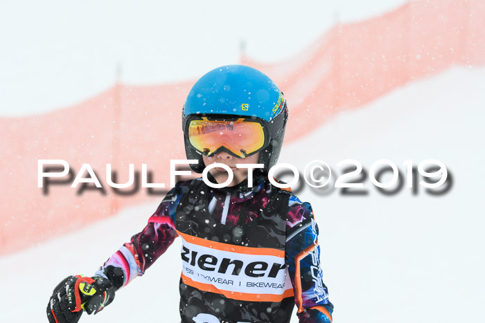 1. Ziener Cup SGW 2019