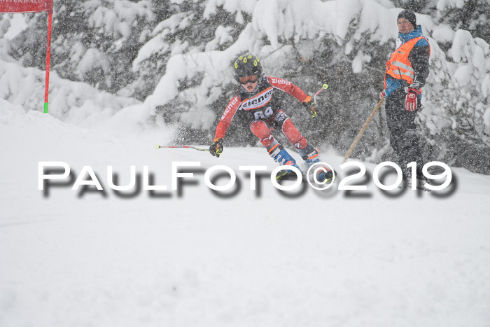 1. Ziener Cup SGW 2019