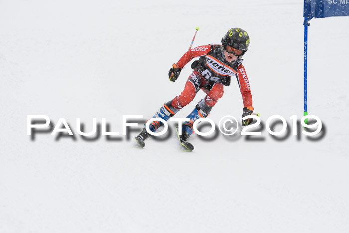 1. Ziener Cup SGW 2019