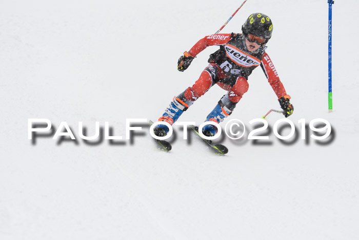 1. Ziener Cup SGW 2019