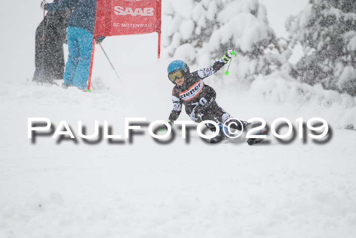 1. Ziener Cup SGW 2019