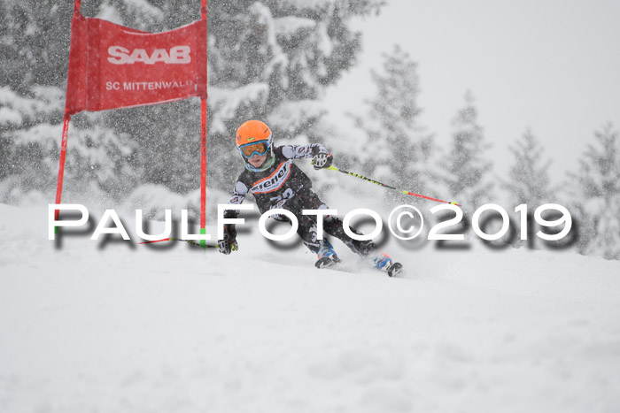 1. Ziener Cup SGW 2019