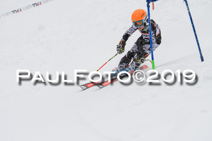 1. Ziener Cup SGW 2019