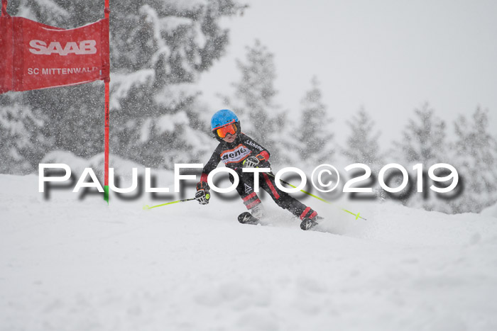 1. Ziener Cup SGW 2019