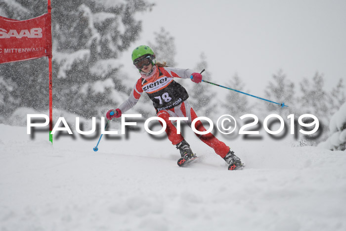 1. Ziener Cup SGW 2019