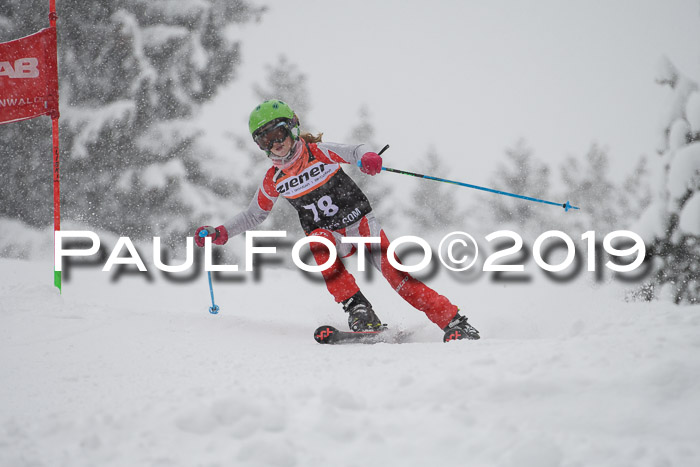1. Ziener Cup SGW 2019