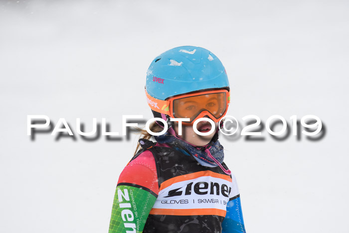 1. Ziener Cup SGW 2019