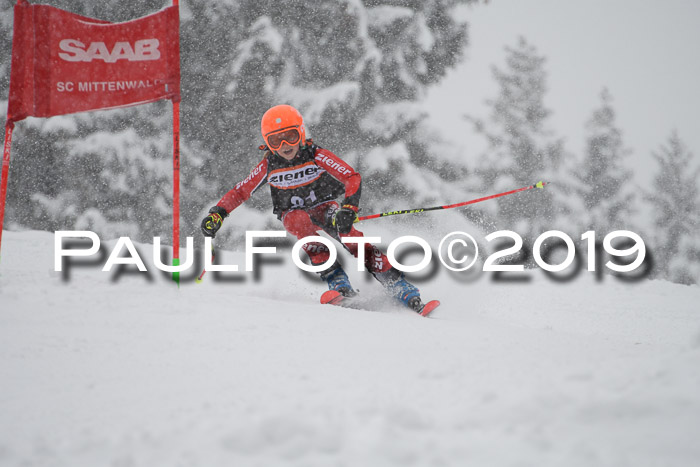 1. Ziener Cup SGW 2019