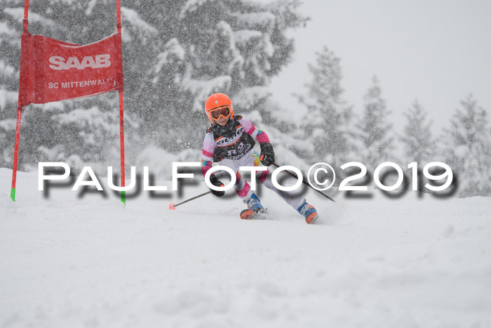 1. Ziener Cup SGW 2019