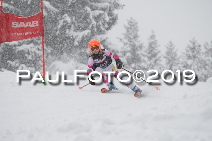1. Ziener Cup SGW 2019