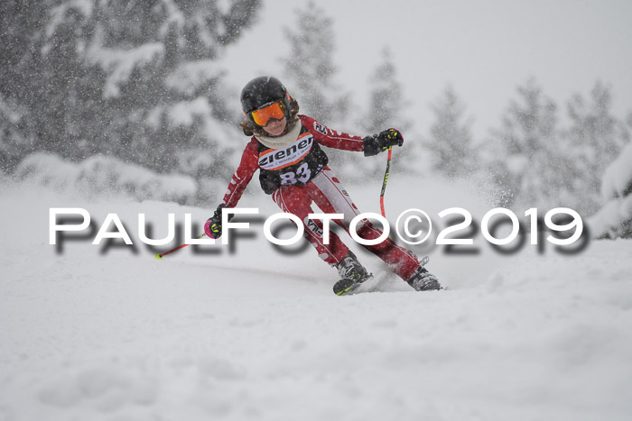 1. Ziener Cup SGW 2019