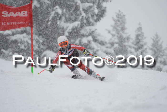 1. Ziener Cup SGW 2019