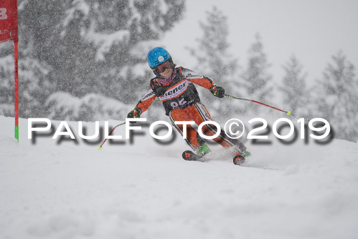 1. Ziener Cup SGW 2019