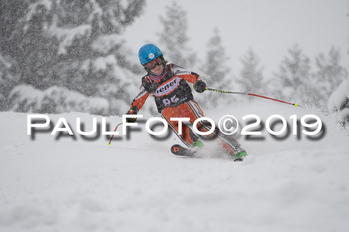 1. Ziener Cup SGW 2019