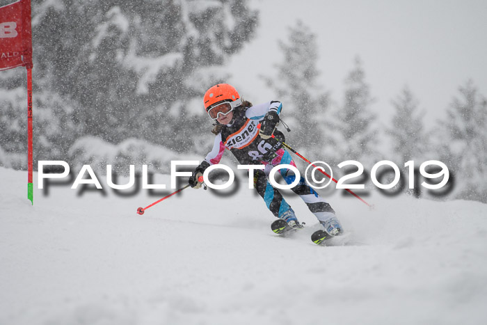1. Ziener Cup SGW 2019