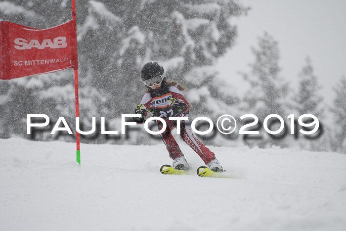 1. Ziener Cup SGW 2019