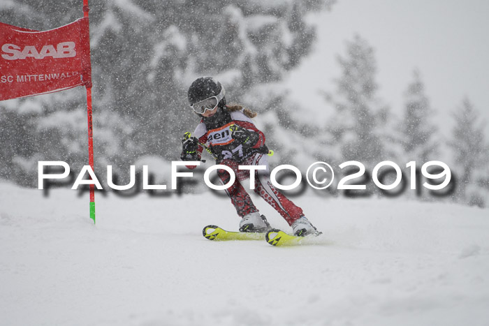 1. Ziener Cup SGW 2019