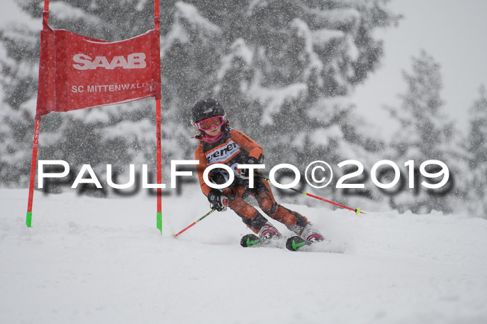 1. Ziener Cup SGW 2019
