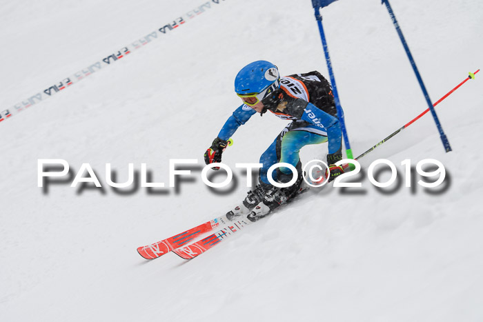 1. Ziener Cup SGW 2019