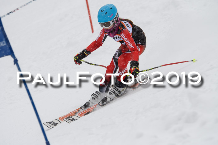1. Ziener Cup SGW 2019