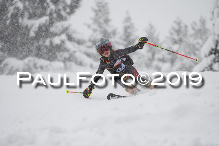 1. Ziener Cup SGW 2019