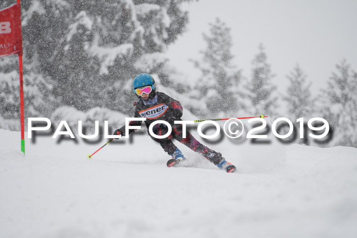 1. Ziener Cup SGW 2019