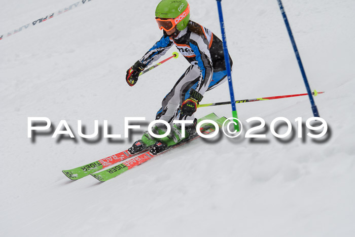 1. Ziener Cup SGW 2019
