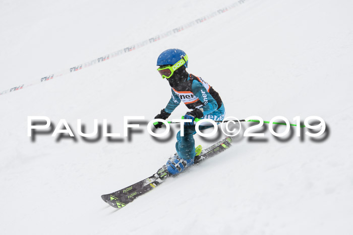 1. Ziener Cup SGW 2019