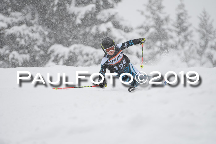 1. Ziener Cup SGW 2019
