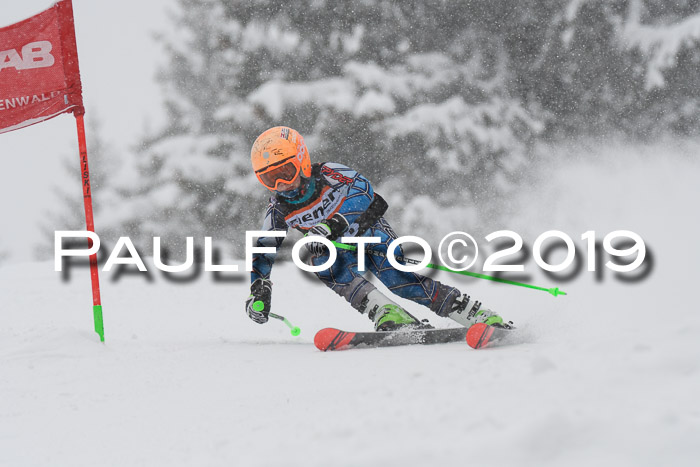 1. Ziener Cup SGW 2019