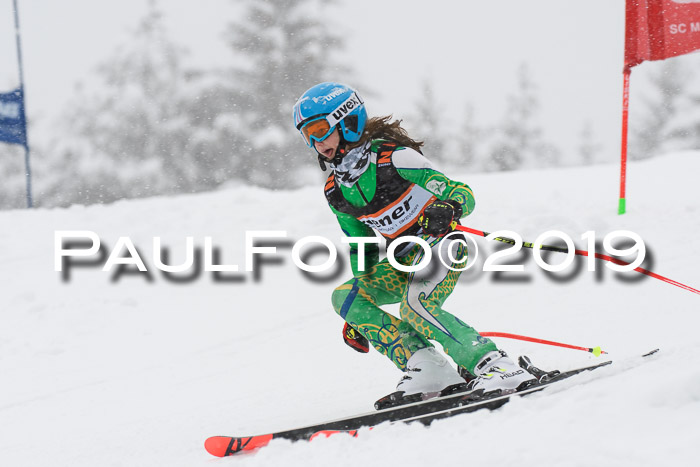 1. Ziener Cup SGW 2019