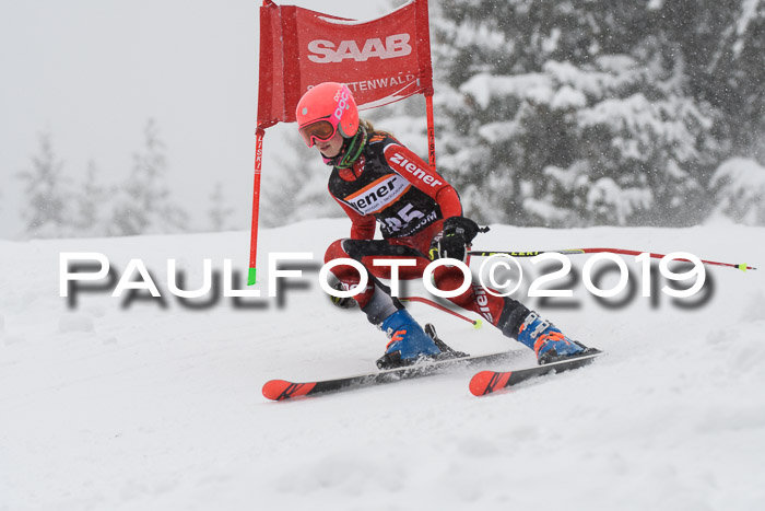 1. Ziener Cup SGW 2019