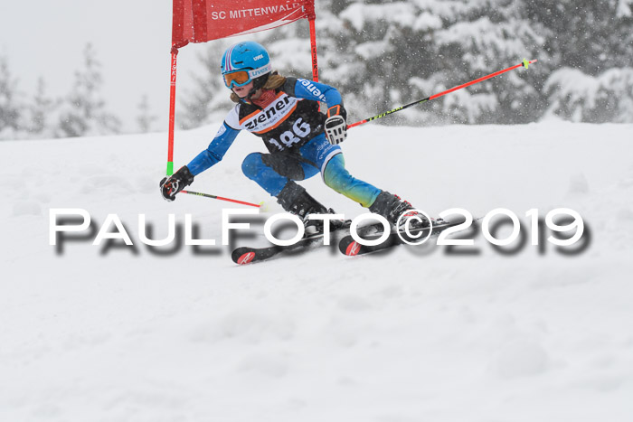 1. Ziener Cup SGW 2019